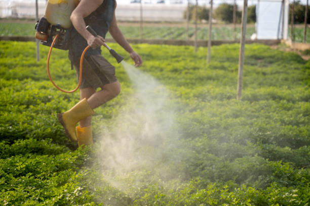 Best Commercial Pest Control Services  in Audubon Park, KY