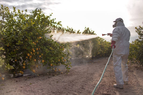 Best Pest Control for Businesses  in Audubon Park, KY
