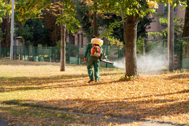 Best Local Pest Control Services  in Audubon Park, KY